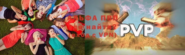 крисы Армянск