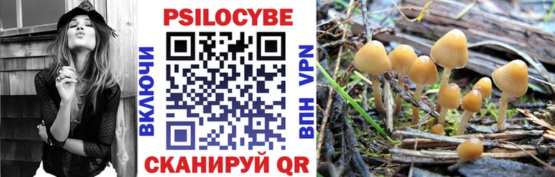 MEGA как зайти  Багратионовск  Галлюциногенные грибы Magic Shrooms 